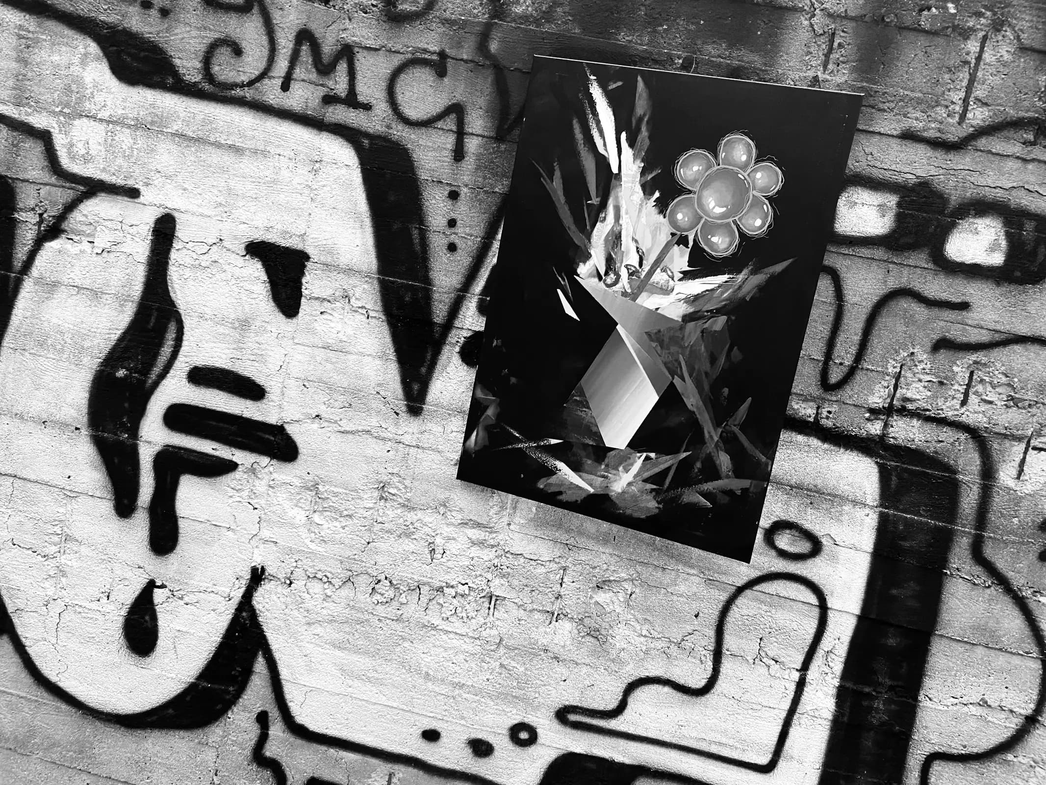 Czarno-białe zdjęcie obrazu Kwiaty 005 przy betonowym murze pokrytym graffiti